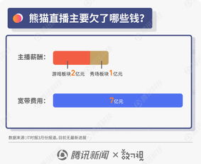 圖解王思聰商業風波 從“國民老公”到“限消令”漩渦，熊貓直播債務迷局待解